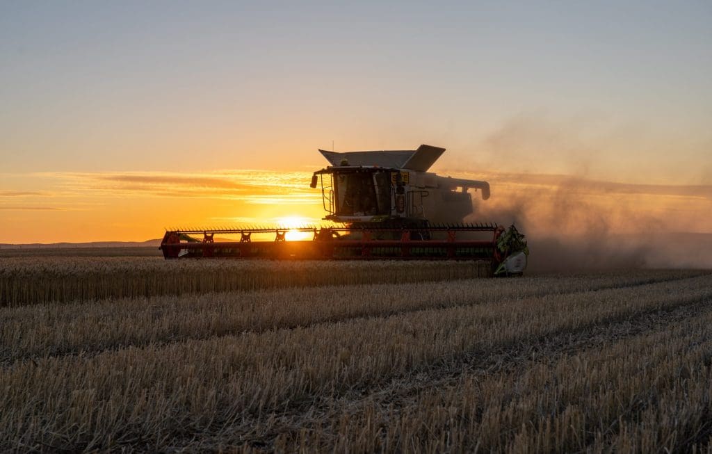 LEXION harvesting with sunset in the background