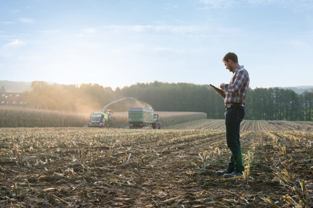 Man in harvested maize field on a communication tablet with a CLAAS JAGUAR forage harvester operating in the distance, working with a harvest wagon offloading chaff