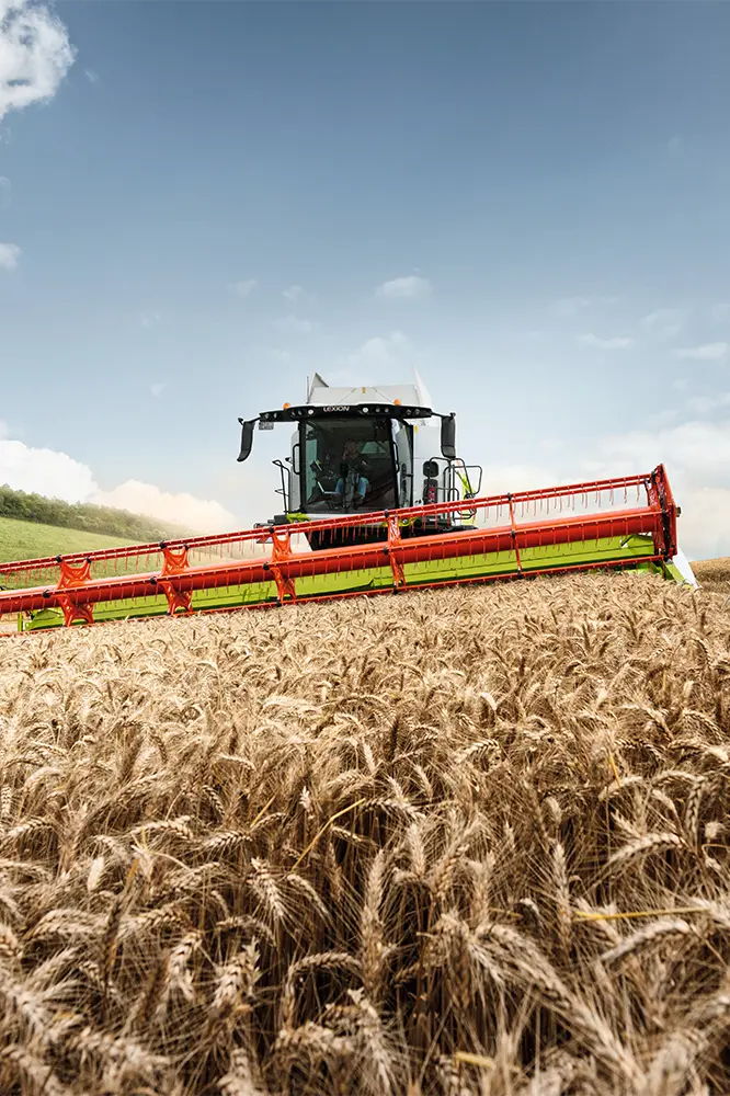 LEXION HARVESTING