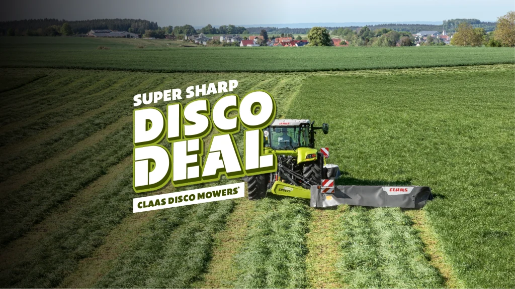 promotional image for our disco deal campaign